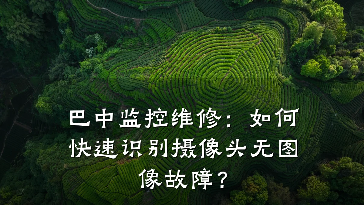 巴中监控维修:如何快速识别摄像头无图像故障?