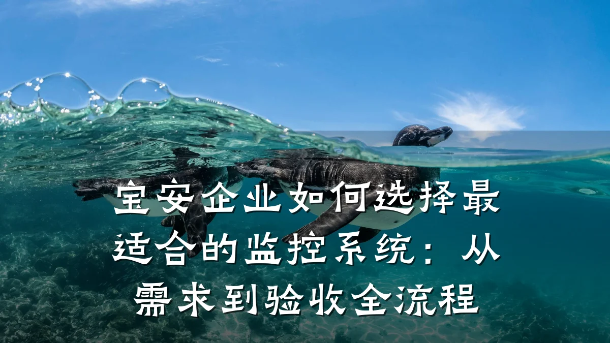 宝安企业如何选择最适合的监控系统:从需求到验收全流程