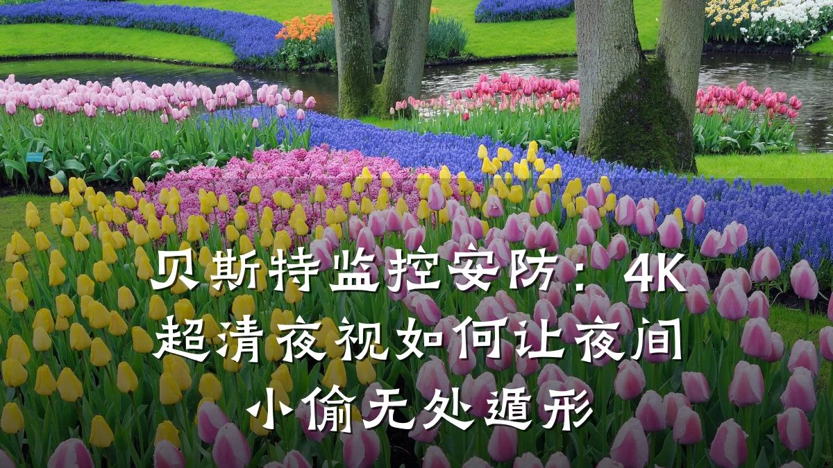 贝斯特监控安防:4K超清夜视如何让夜间小偷无处遁形