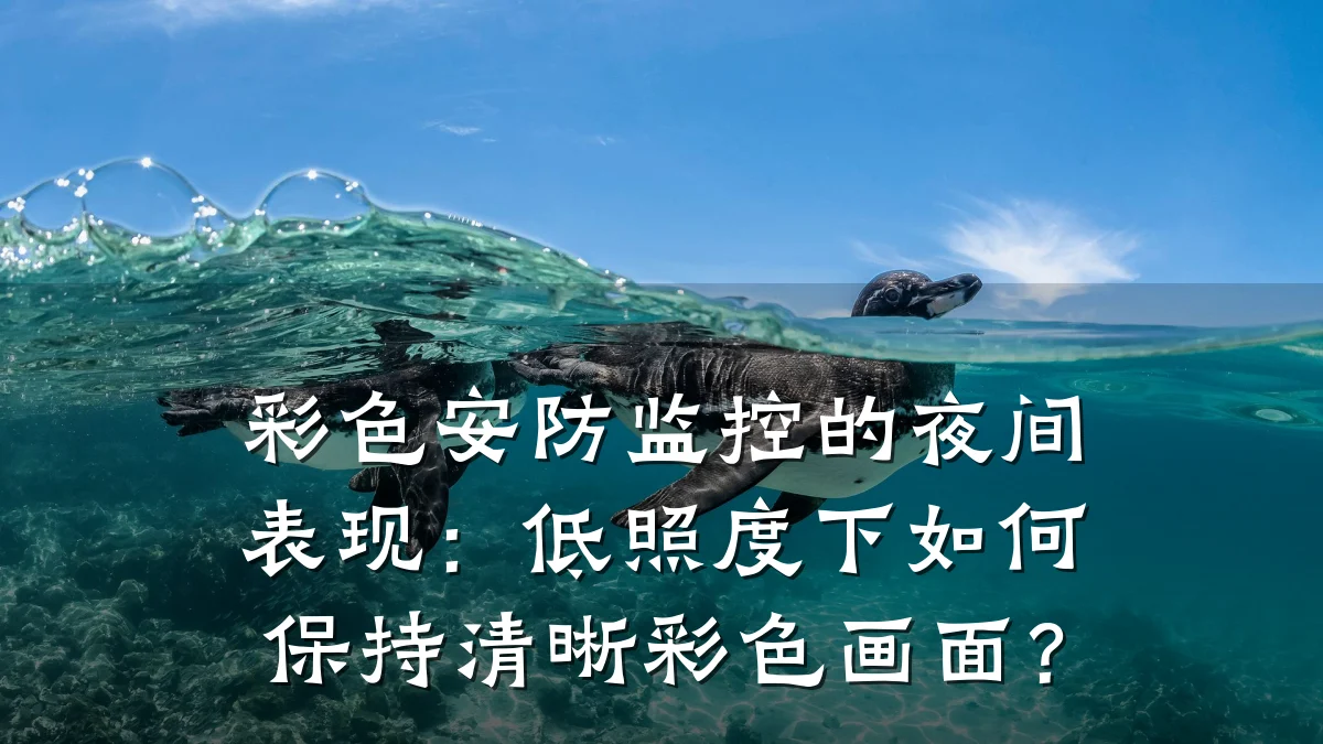 彩色安防监控的夜间表现:低照度下如何保持清晰彩色画面?