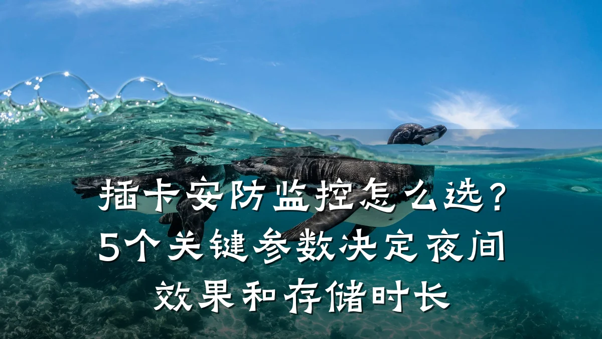 插卡安防监控怎么选?5个关键参数决定夜间效果和存储时长