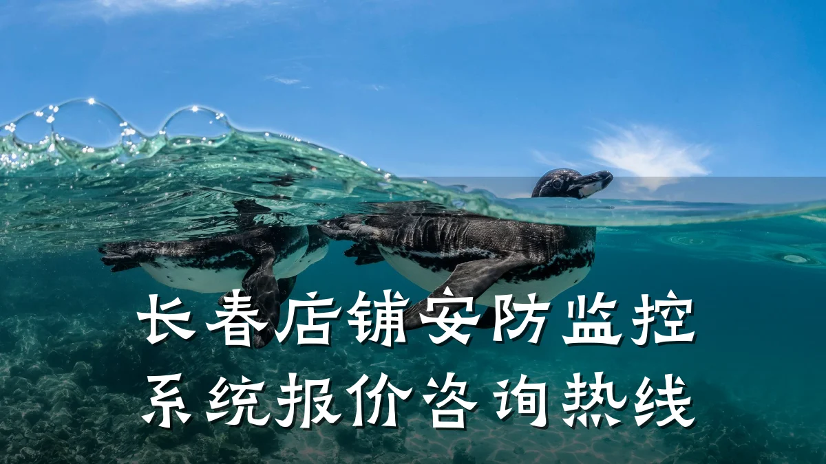 长春店铺安防监控系统报价咨询热线