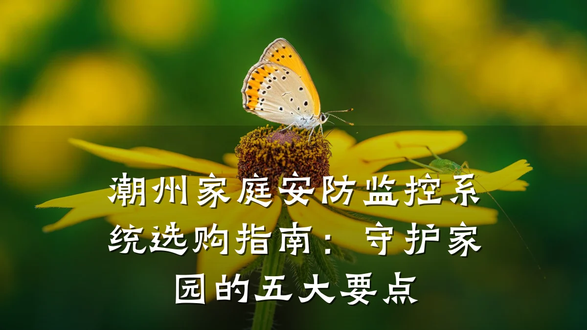 潮州家庭安防监控系统选购指南:守护家园的五大要点