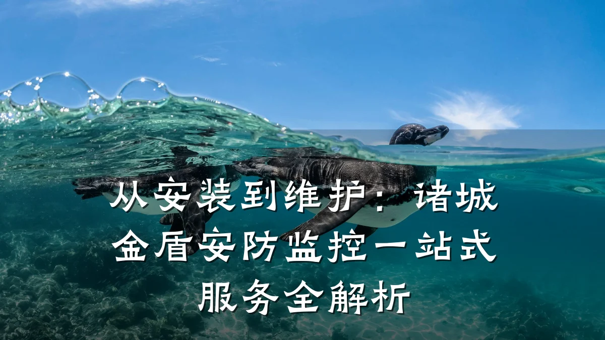 从安装到维护:诸城金盾安防监控一站式服务全解析