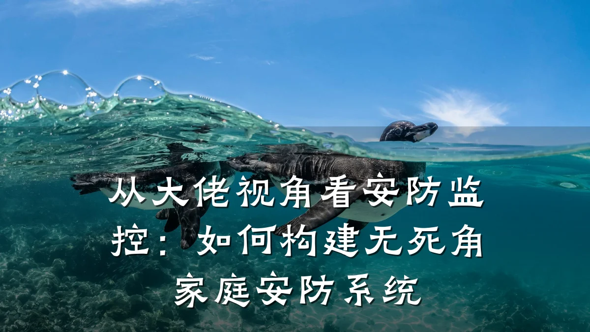 从大佬视角看安防监控:如何构建无死角家庭安防系统