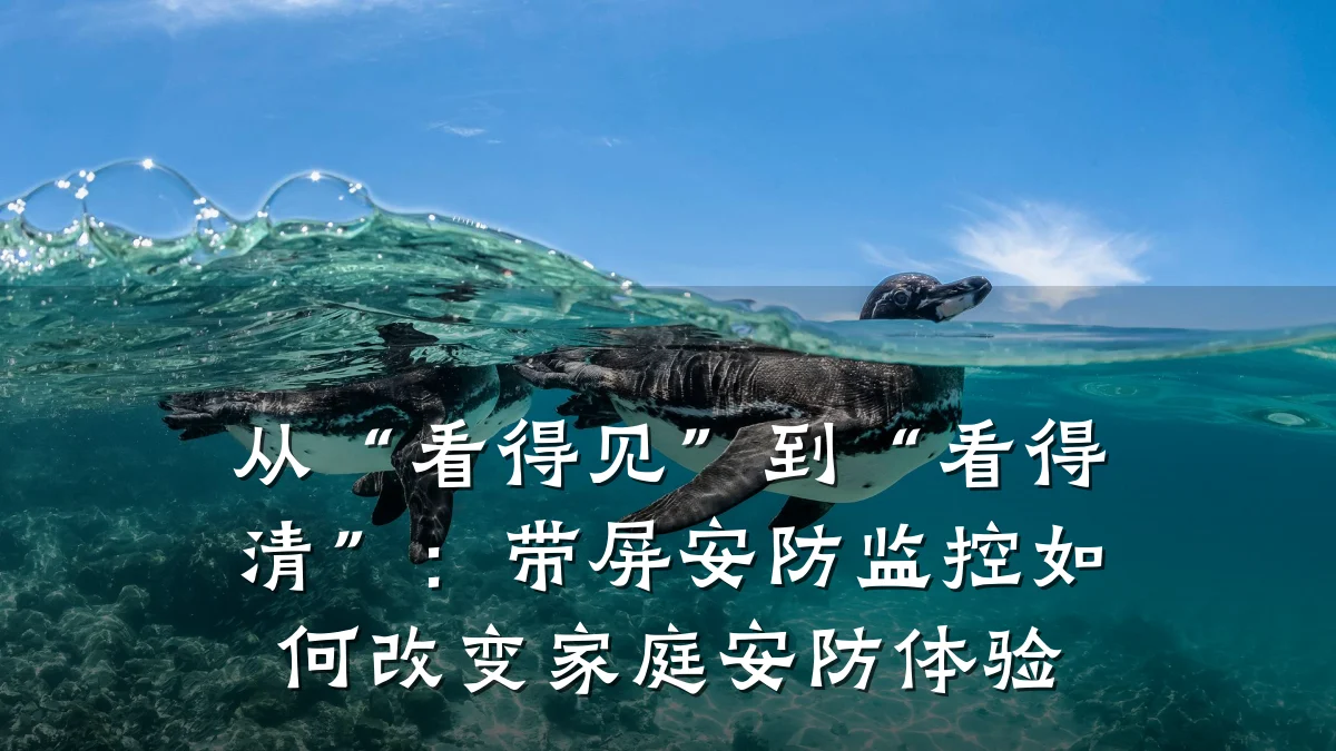 从“看得见”到“看得清”：带屏安防监控如何改变家庭安防体验