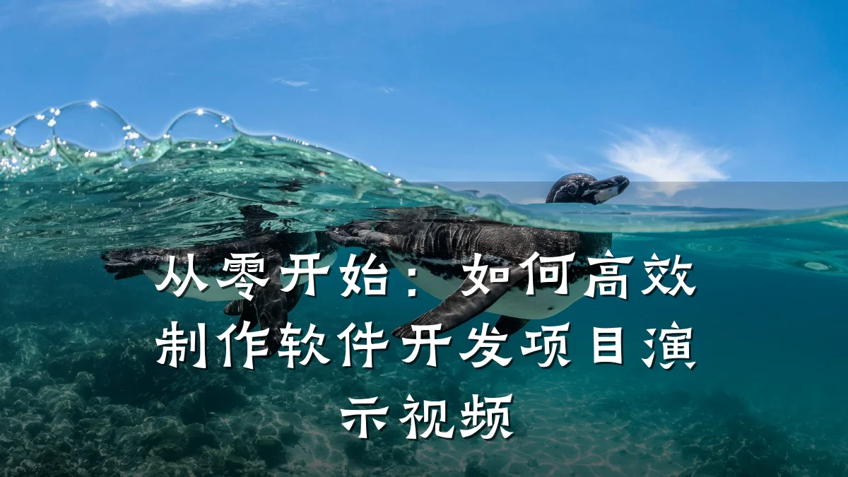 从零开始：如何高效制作软件开发项目演示视频