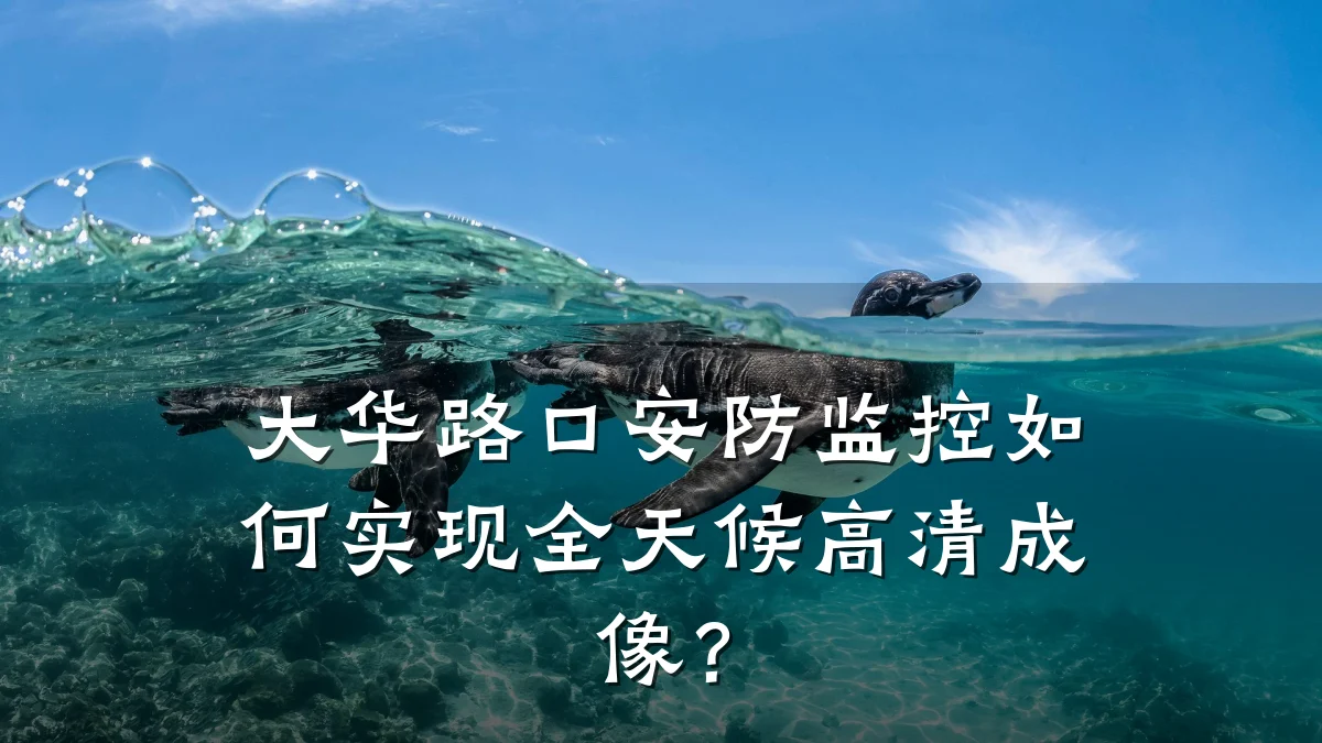 大华路口安防监控如何实现全天候高清成像?