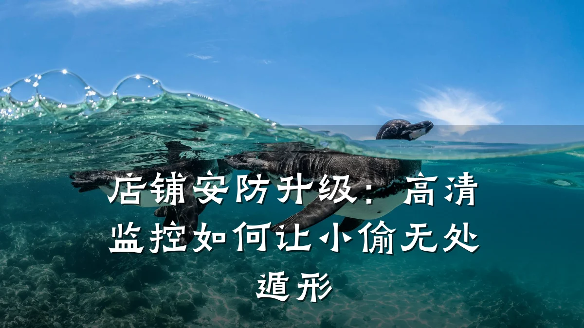 店铺安防升级:高清监控如何让小偷无处遁形