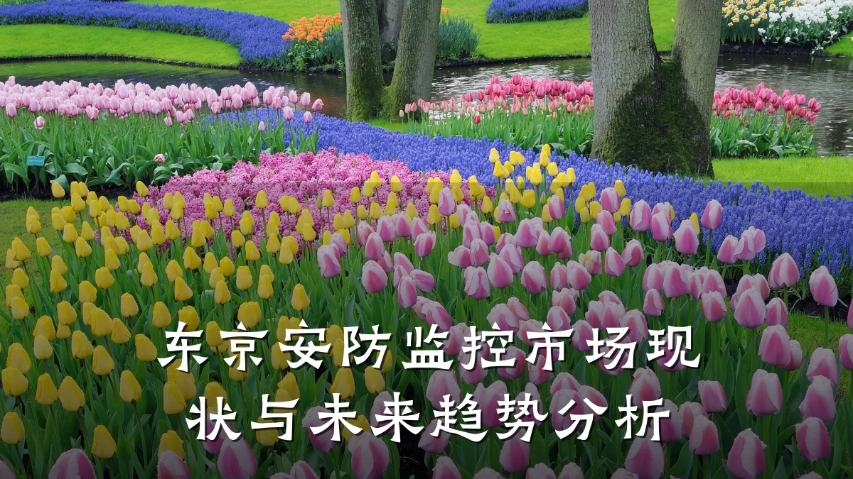 东京安防监控市场现状与未来趋势分析