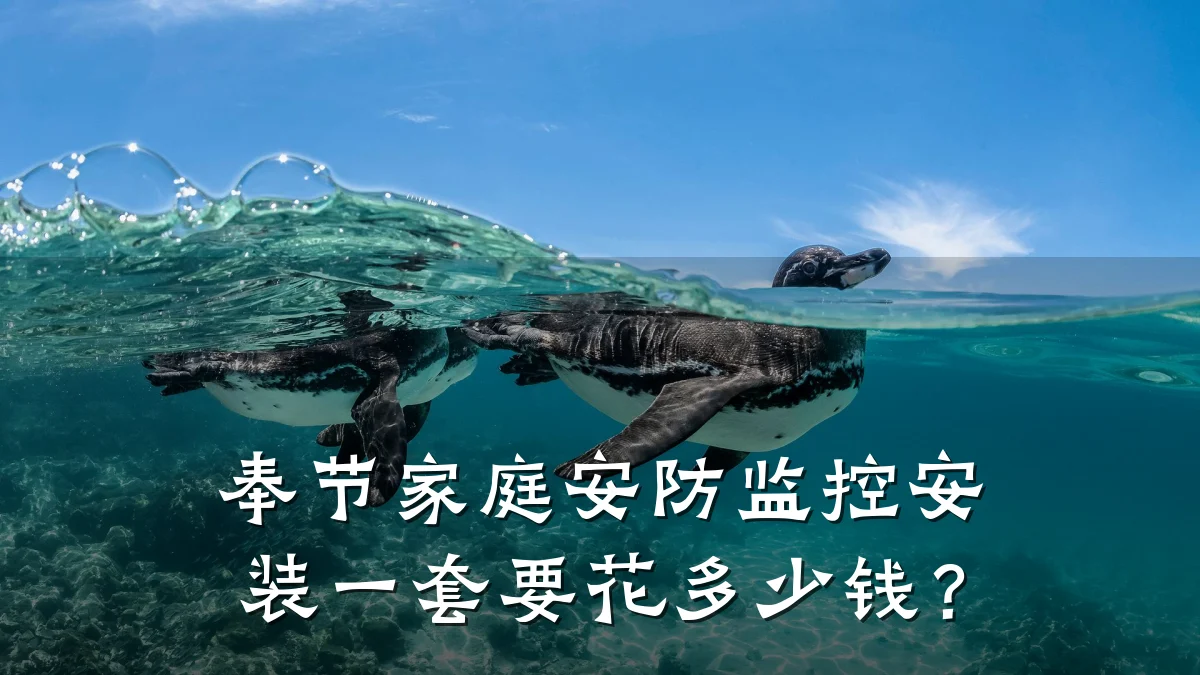 奉节家庭安防监控安装一套要花多少钱?