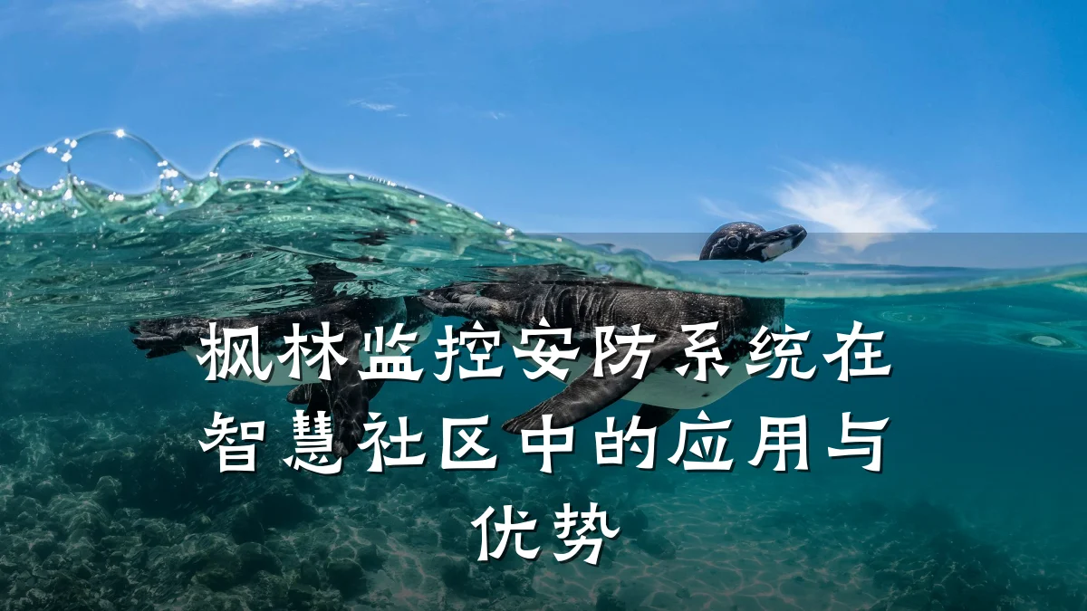 枫林监控安防系统在智慧社区中的应用与优势