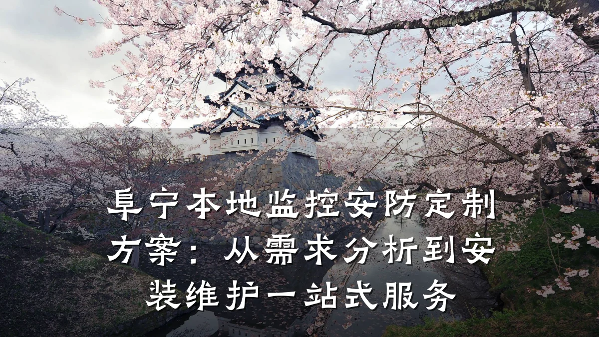 阜宁本地监控安防定制方案:从需求分析到安装维护一站式服务