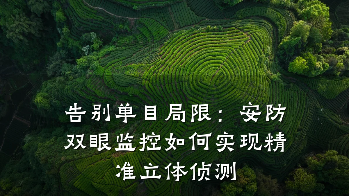 告别单目局限：安防双眼监控如何实现精准立体侦测