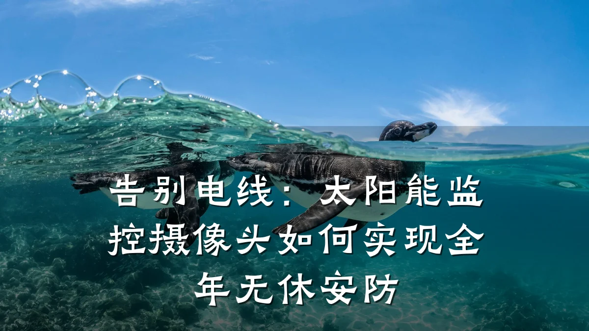 告别电线：太阳能监控摄像头如何实现全年无休安防