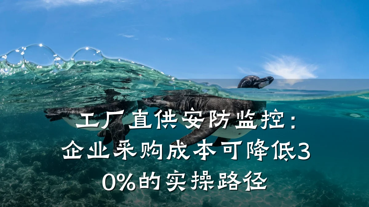 工厂直供安防监控：企业采购成本可降低30%的实操路径