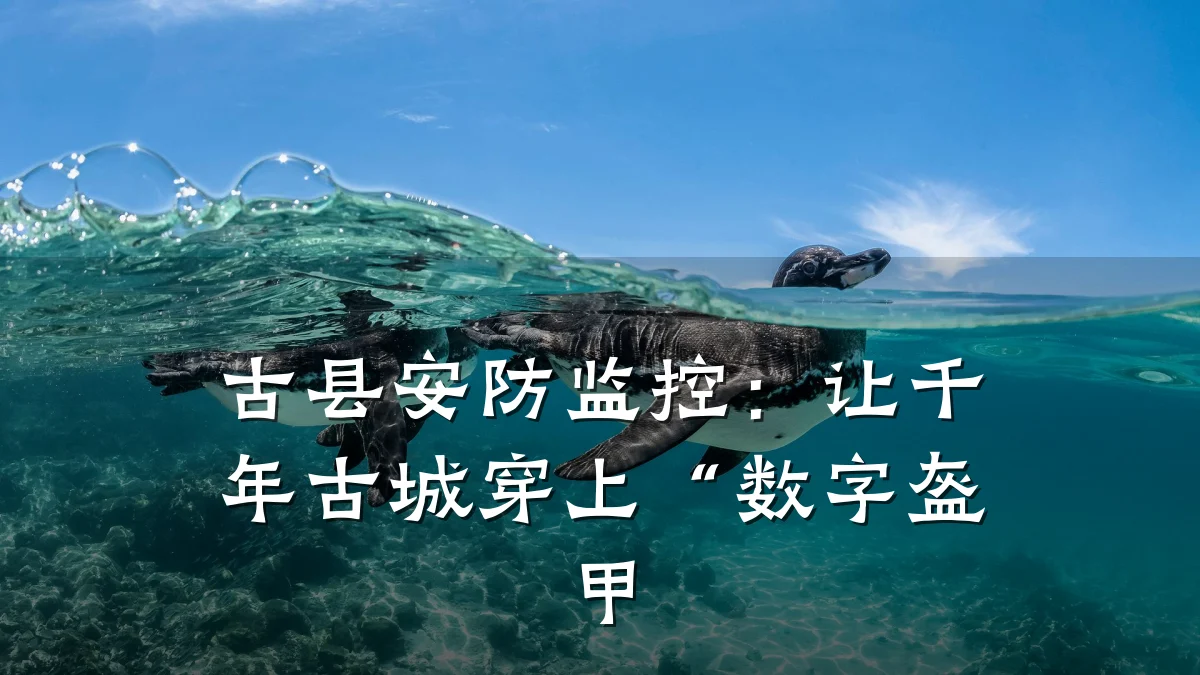 古县安防监控：让千年古城穿上“数字盔甲