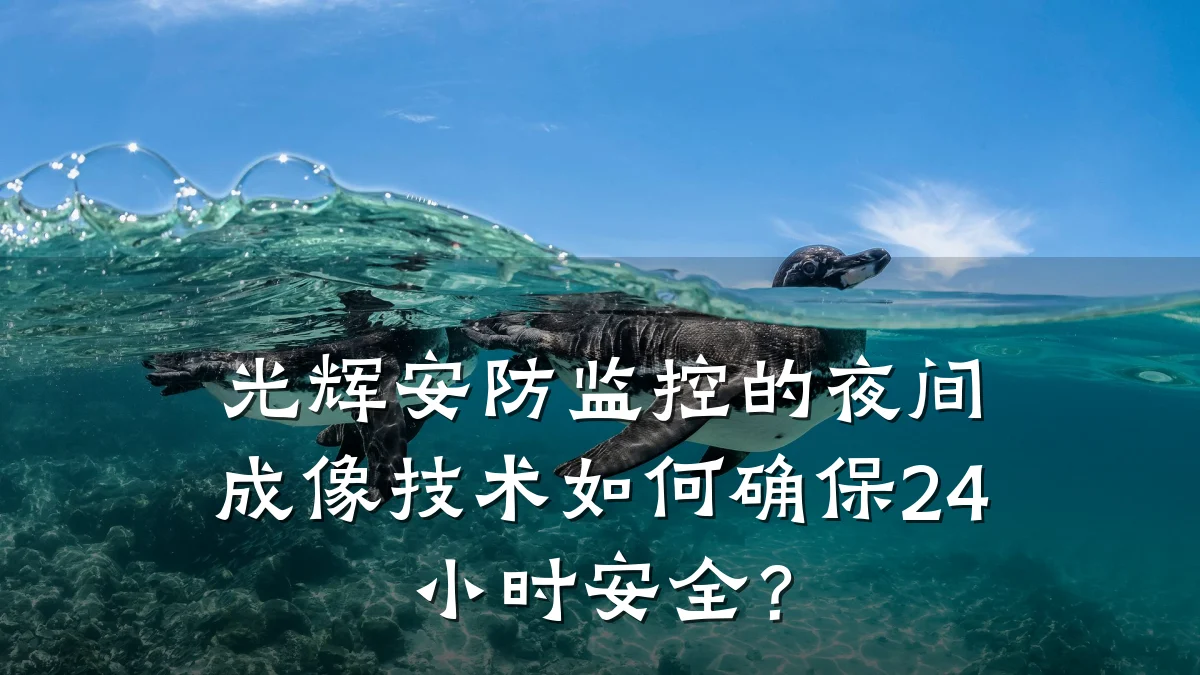 光辉安防监控的夜间成像技术如何确保24小时安全?
