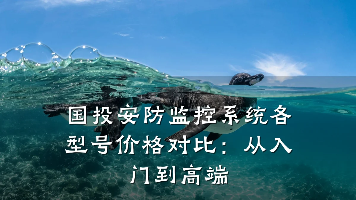 国投安防监控系统各型号价格对比:从入门到高端