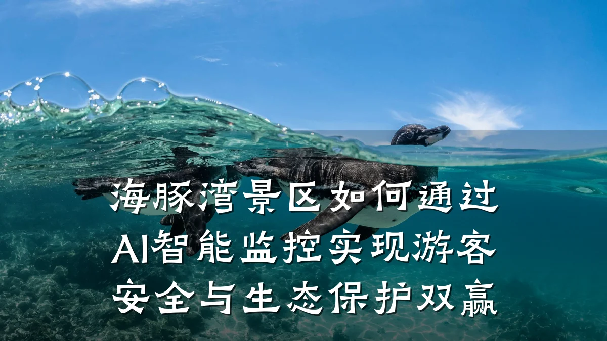 海豚湾景区如何通过AI智能监控实现游客安全与生态保护双赢