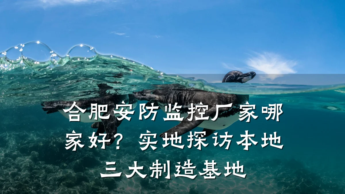 合肥安防监控厂家哪家好?实地探访本地三大制造基地