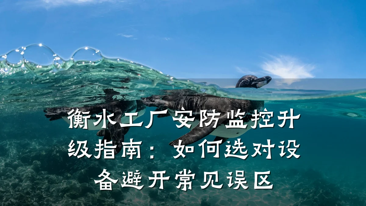 衡水工厂安防监控升级指南:如何选对设备避开常见误区