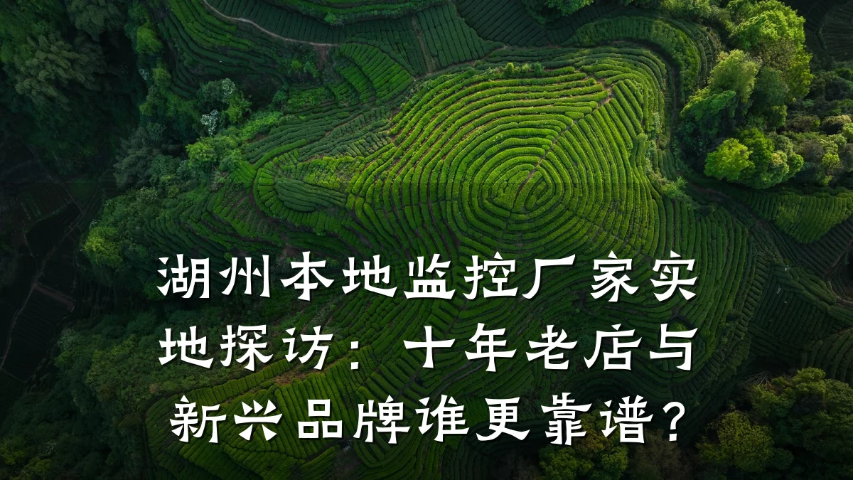 湖州本地监控厂家实地探访:十年老店与新兴品牌谁更靠谱?