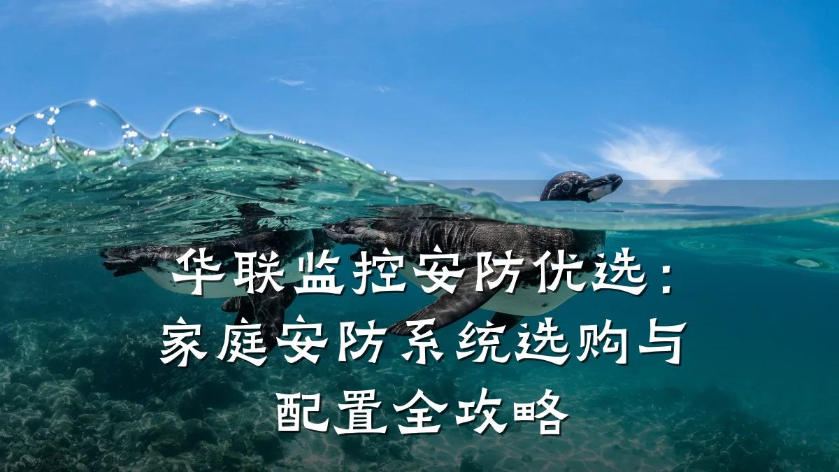 华联监控安防优选:家庭安防系统选购与配置全攻略
