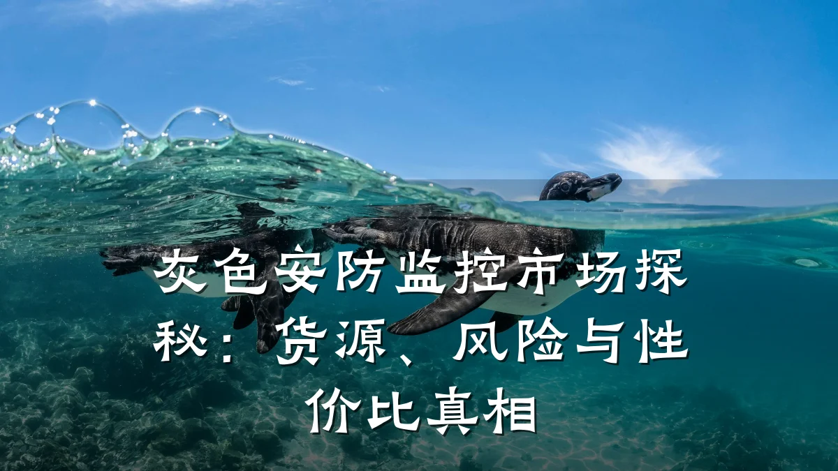 灰色安防监控市场探秘:货源、风险与性价比真相