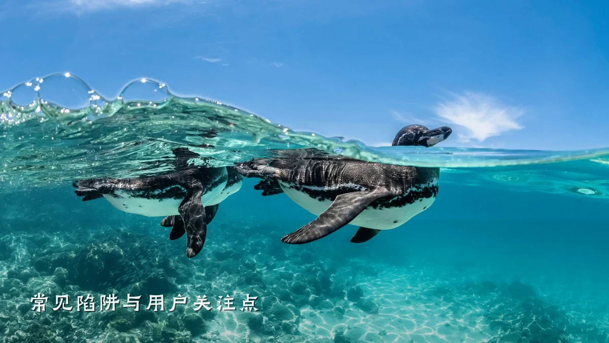 常见陷阱与用户关注点