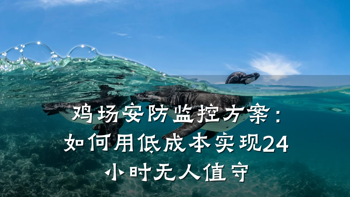 鸡场安防监控方案:如何用低成本实现24小时无人值守