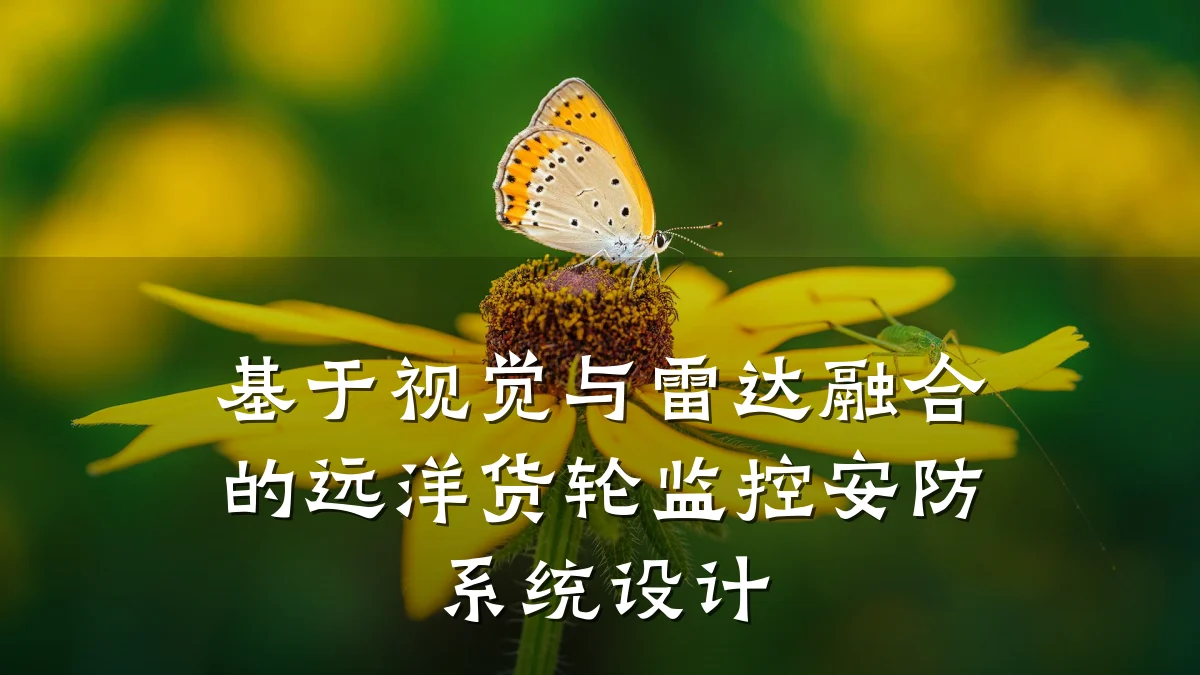 基于视觉与雷达融合的远洋货轮监控安防系统设计