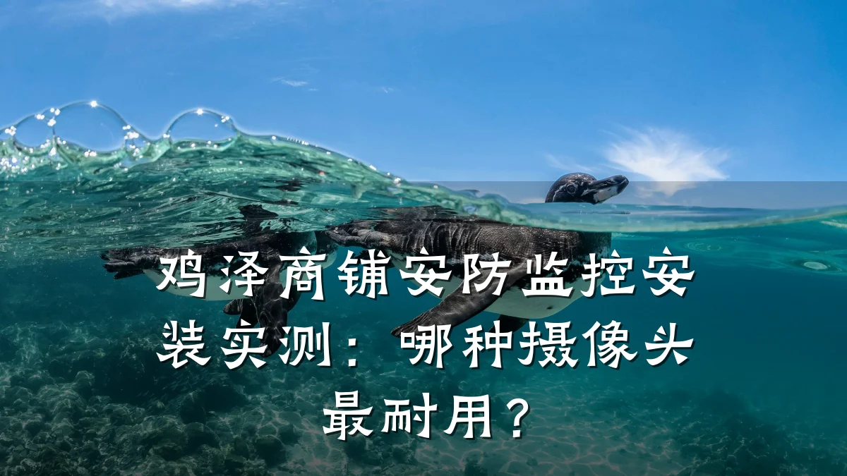 鸡泽商铺安防监控安装实测:哪种摄像头最耐用?