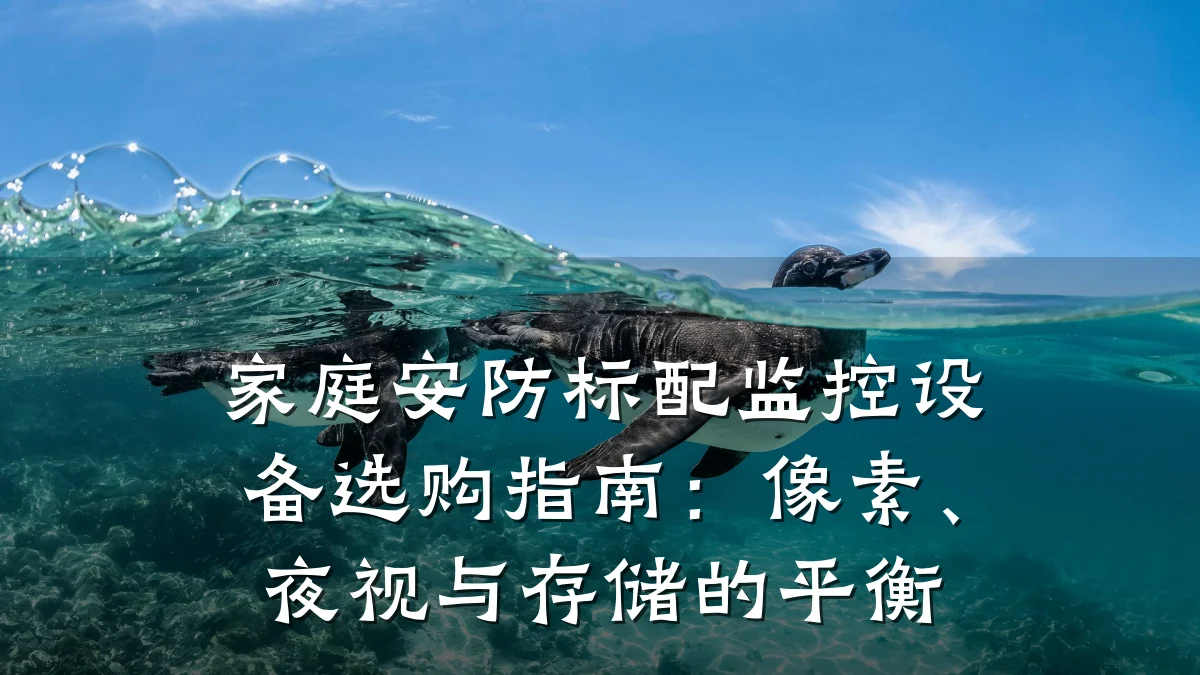 家庭安防标配监控设备选购指南:像素、夜视与存储的平衡