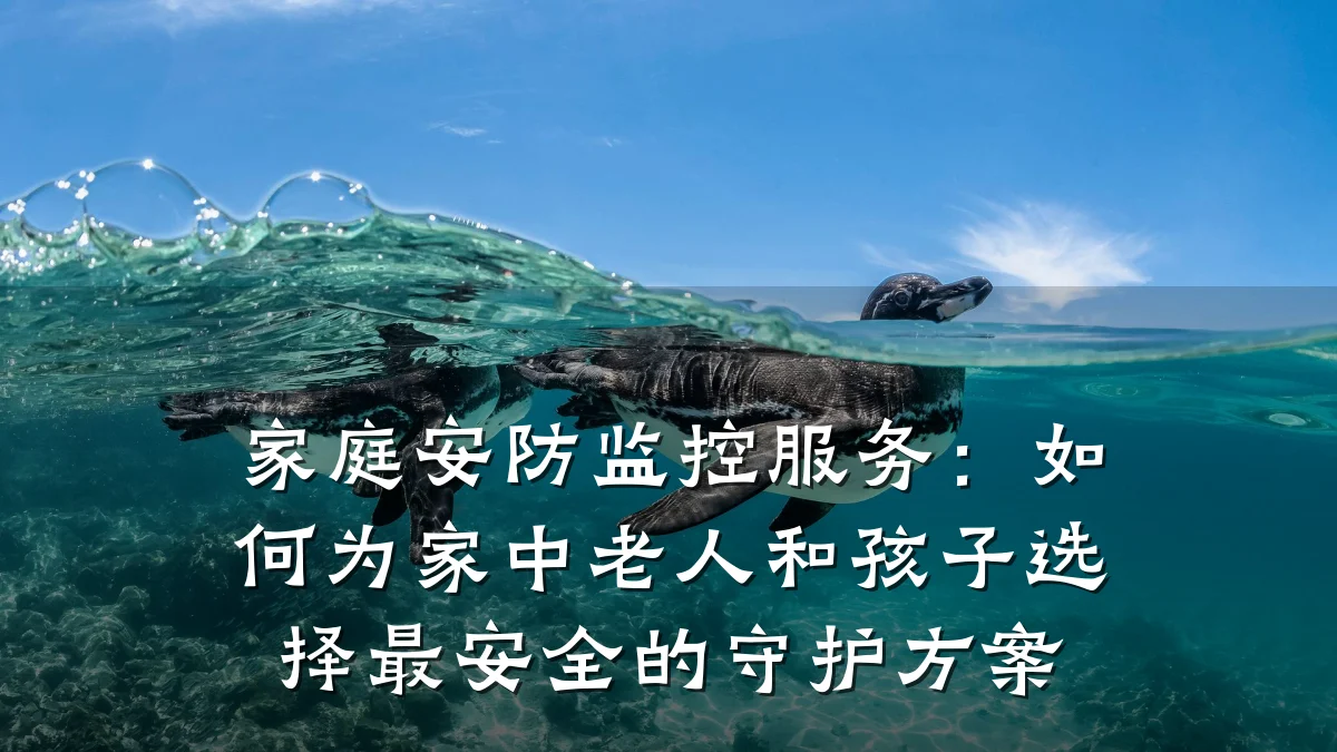 家庭安防监控服务:如何为家中老人和孩子选择最安全的守护方案