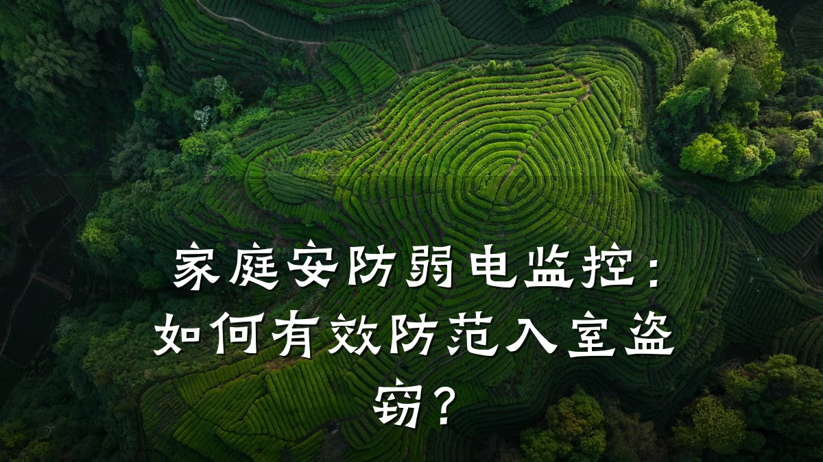 家庭安防弱电监控:如何有效防范入室盗窃?