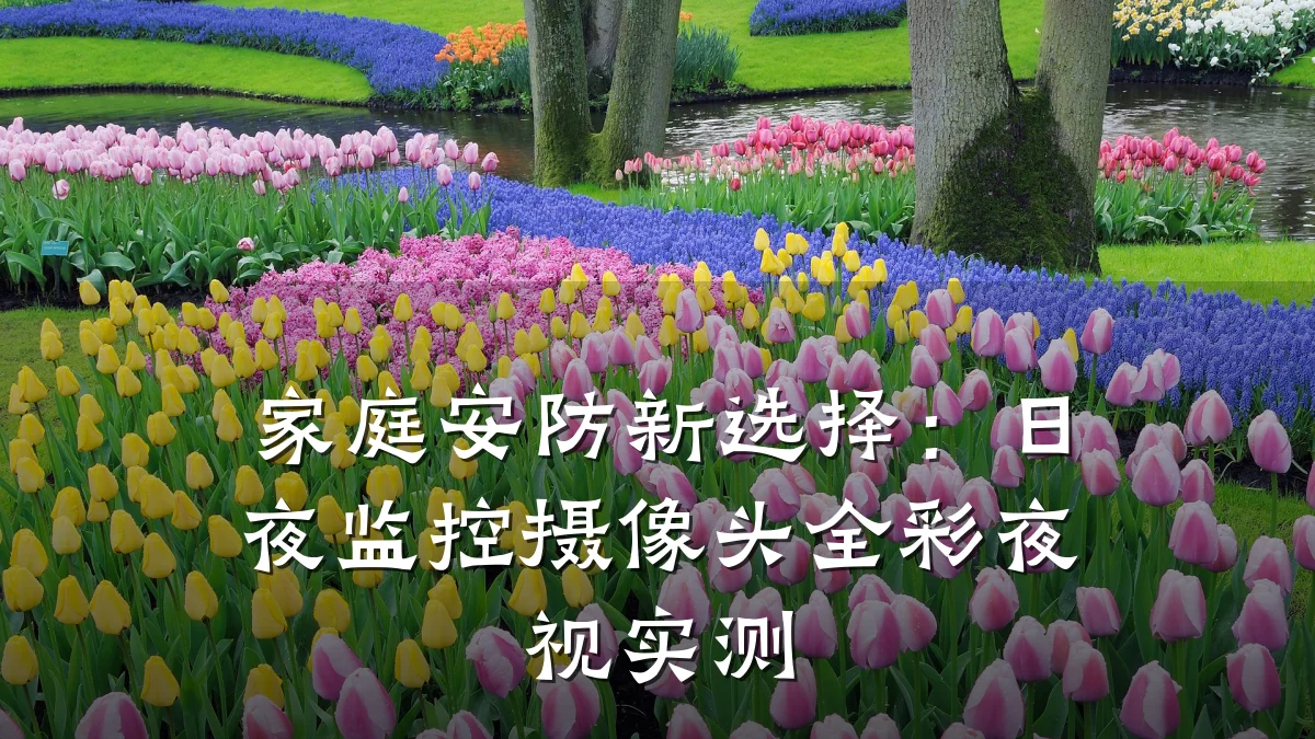 家庭安防新选择:日夜监控摄像头全彩夜视实测
