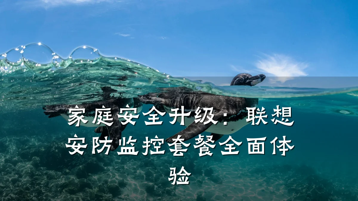 家庭安全升级:联想安防监控套餐全面体验
