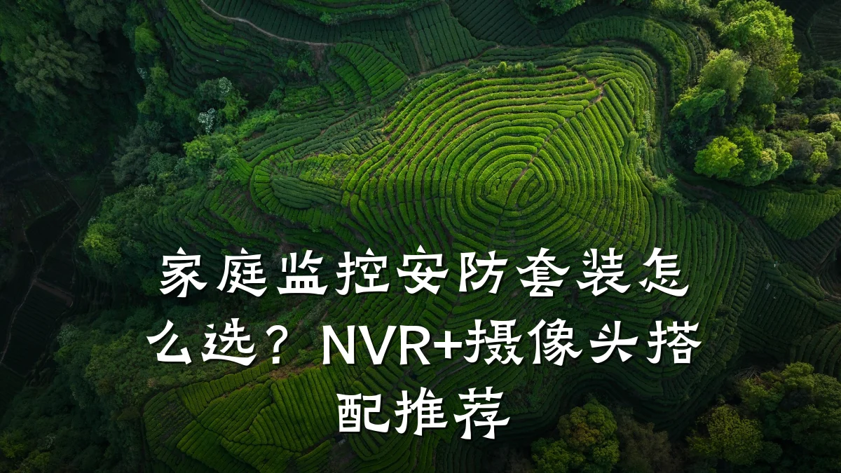 家庭监控安防套装怎么选？NVR+摄像头搭配推荐