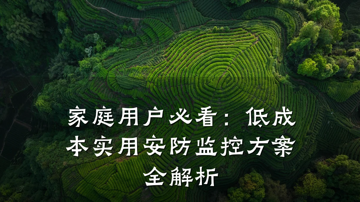家庭用户必看:低成本实用安防监控方案全解析