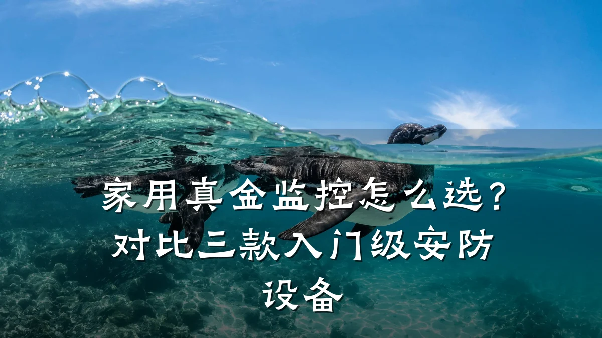 家用真金监控怎么选?对比三款入门级安防设备