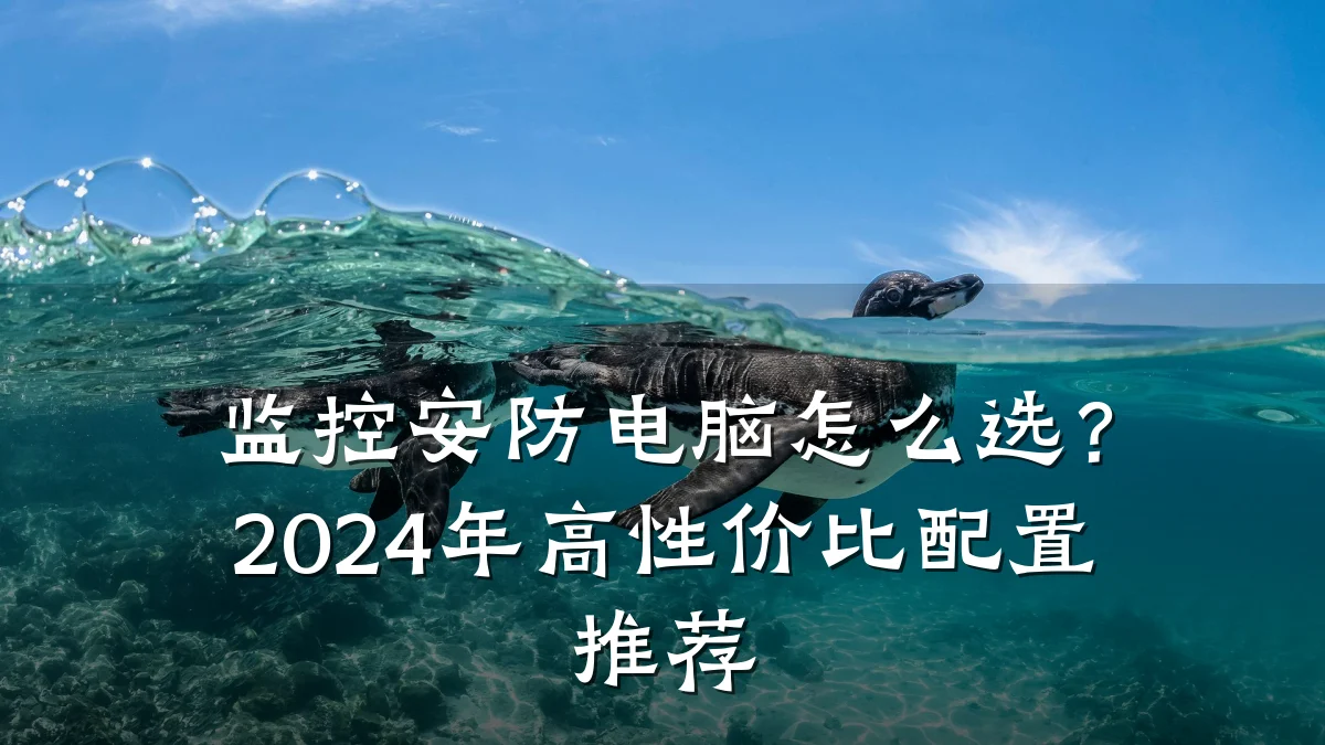 监控安防电脑怎么选?2024年高性价比配置推荐