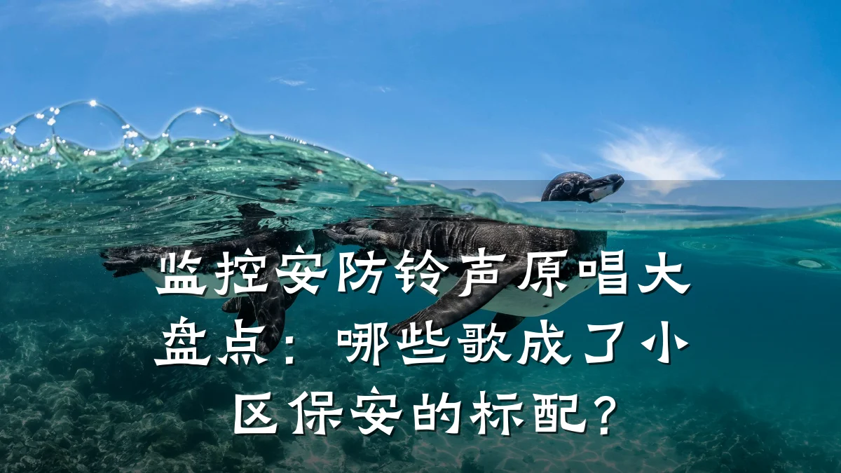 监控安防铃声原唱大盘点:哪些歌成了小区保安的标配?