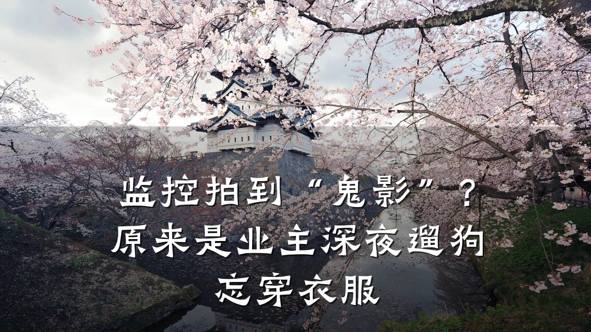 监控拍到“鬼影”?原来是业主深夜遛狗忘穿衣服
