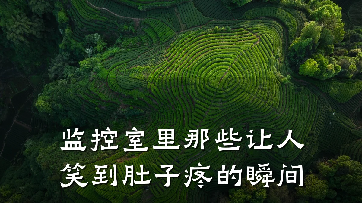监控室里那些让人笑到肚子疼的瞬间