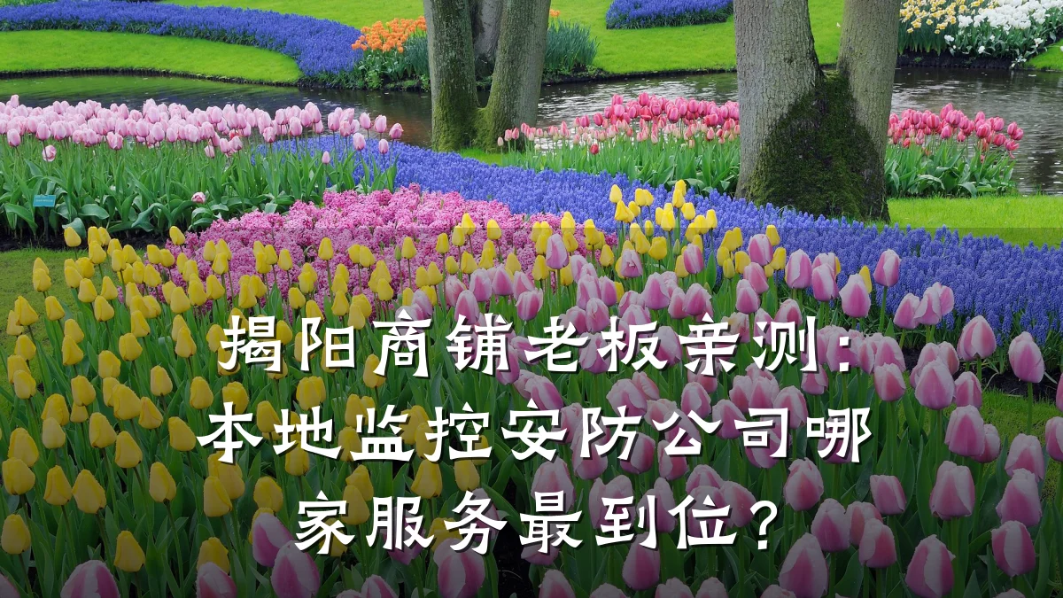 揭阳商铺老板亲测：本地监控安防公司哪家服务最到位？