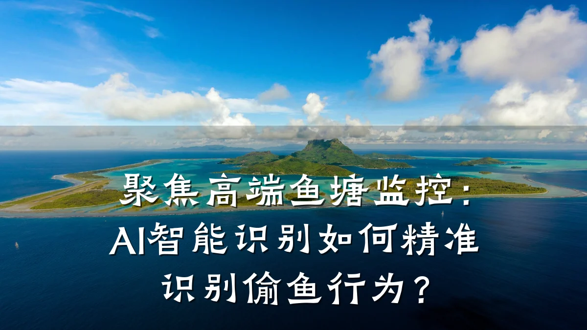 聚焦高端鱼塘监控:AI智能识别如何精准识别偷鱼行为?