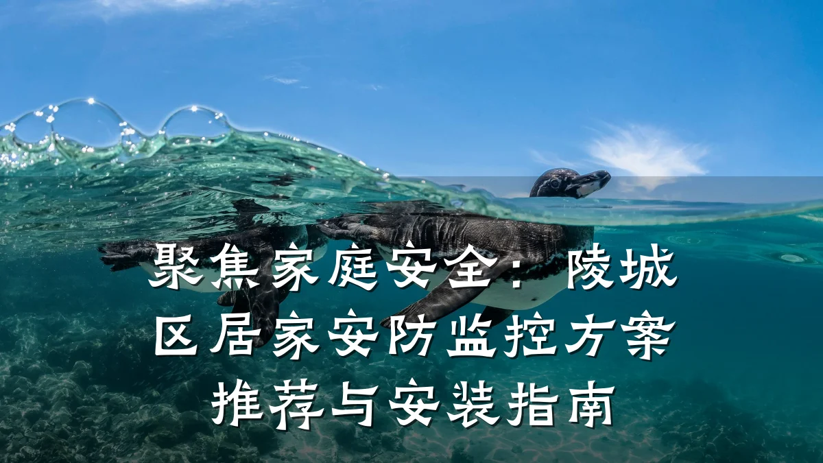 聚焦家庭安全:陵城区居家安防监控方案推荐与安装指南