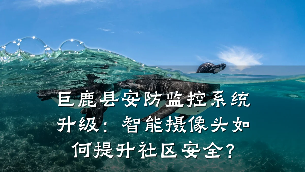巨鹿县安防监控系统升级:智能摄像头如何提升社区安全?