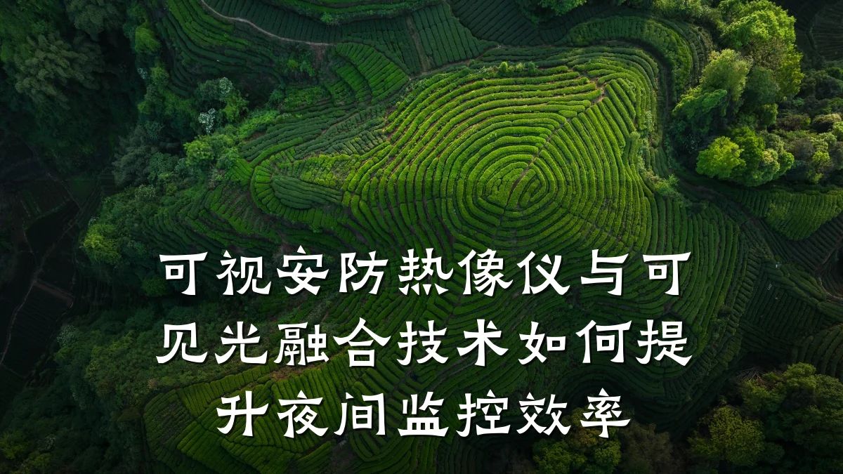 可视安防热像仪与可见光融合技术如何提升夜间监控效率